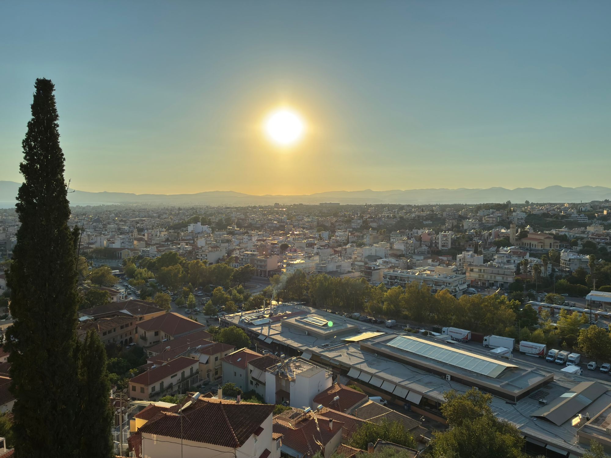 The sun setting over the rooftops of Kalamata, seen from the castle hill, with a tall cypress in the foreground