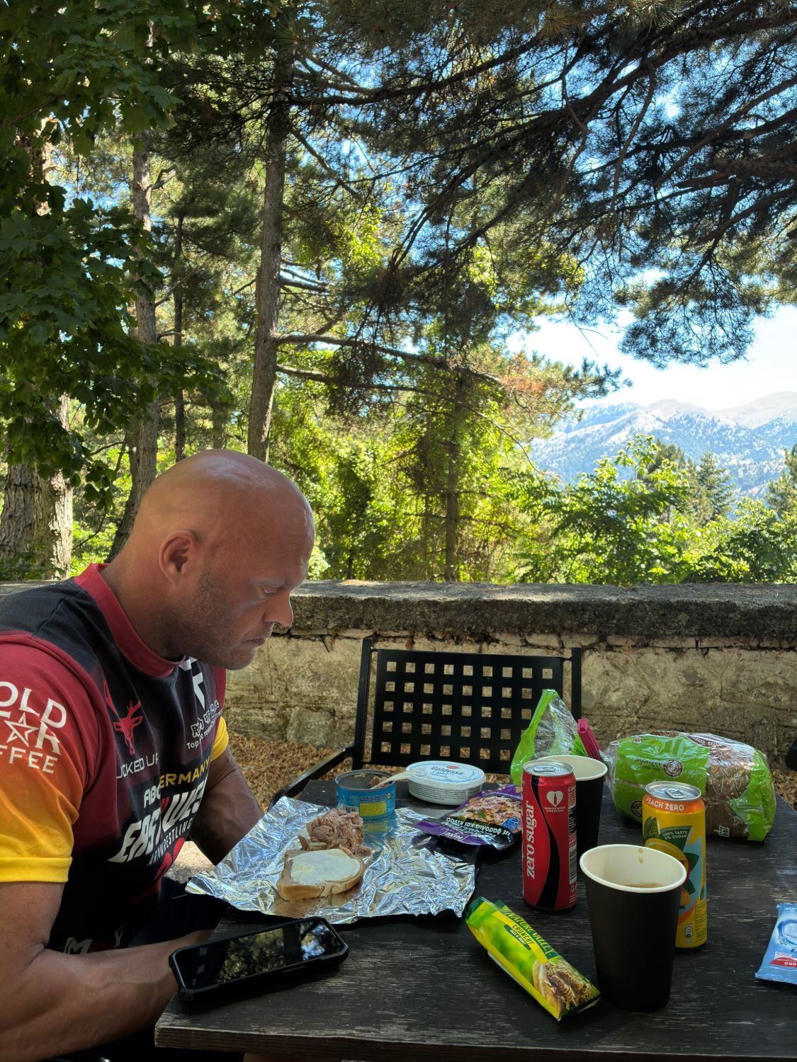 Packed lunch with sandwiches, tuna and drinks on a table under pine trees, with mountain peaks behind